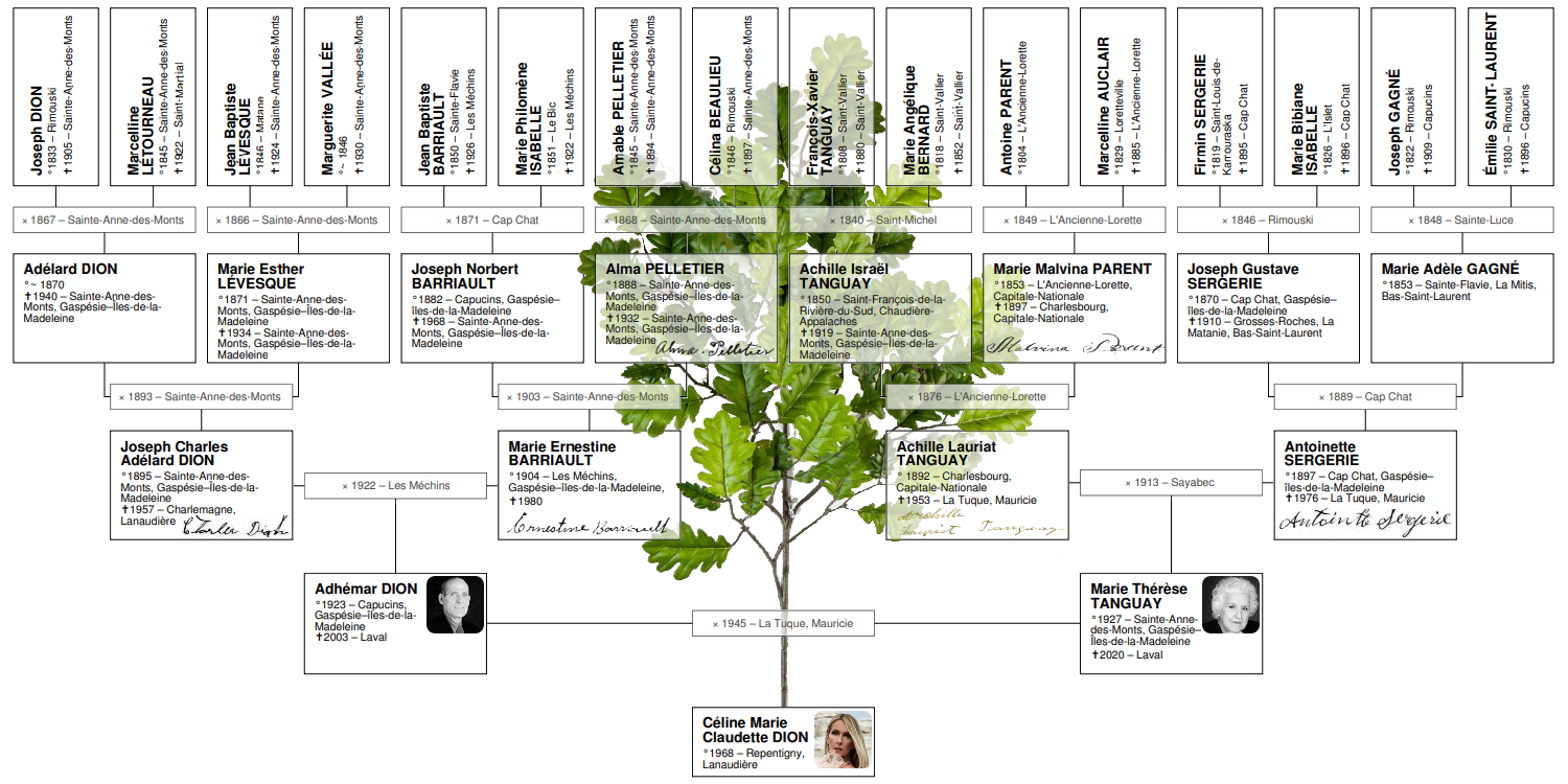 Arbre généalogique de Céline Dion