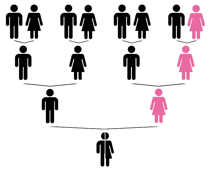 Matrilineal ancestry