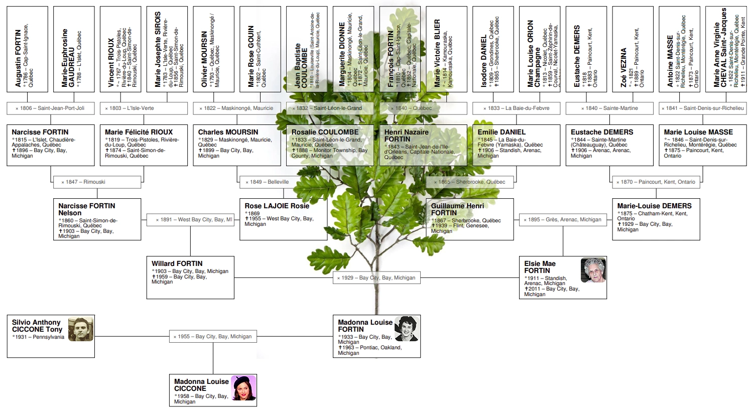 Madonna Family Tree Madonna Family Tree