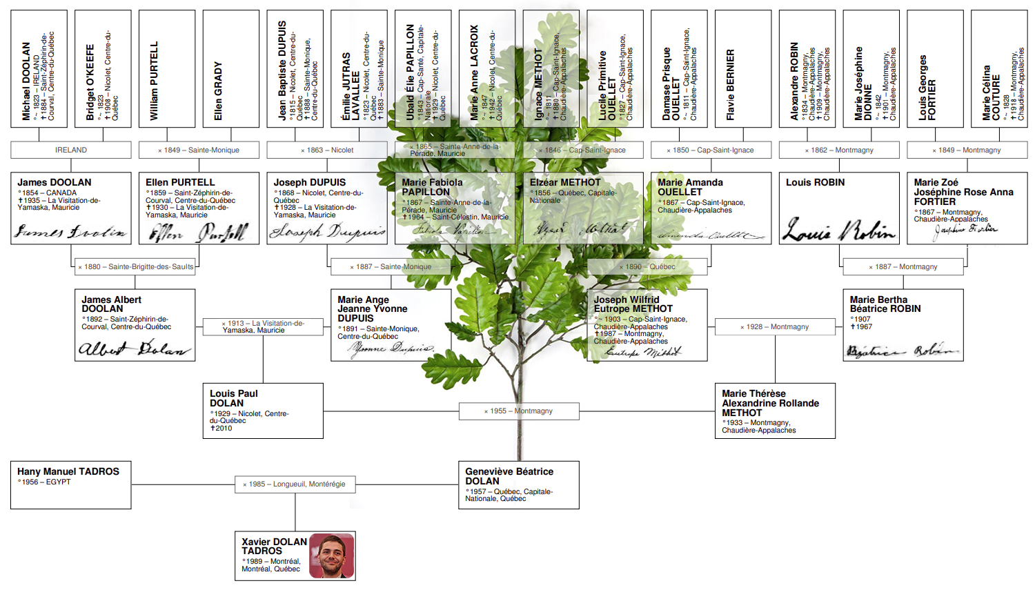 Arbre généalogique de Xavier Dolan Arbre généalogique de Xavier Dolan
