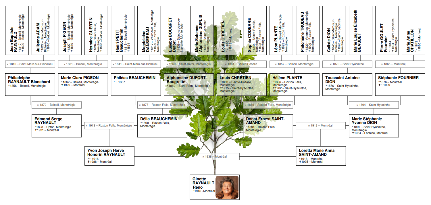 Arbre généalogique de Ginette Reno