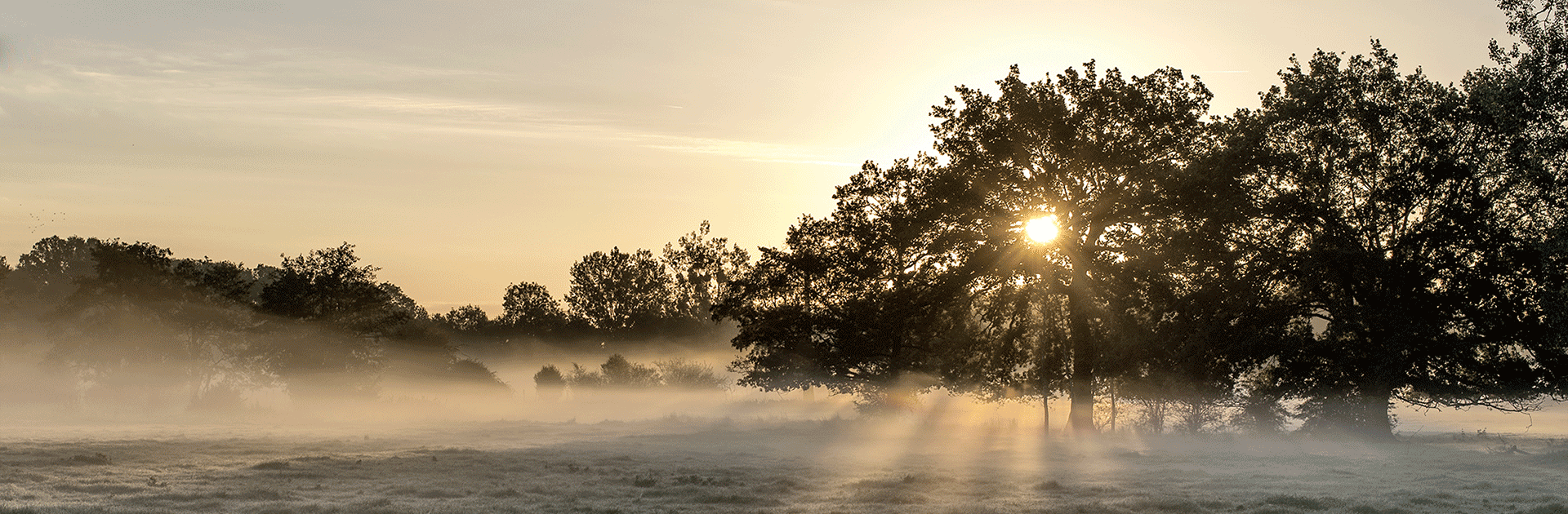 Lever de soleil brumeux entre Fontaine-simon et La Loupe (Paysages du Perche) © 2015 Didier Leplat